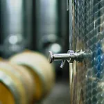 Ferienweingut-liebfried 招待所 内仁