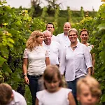 Ferienweingut-liebfried 招待所 内仁