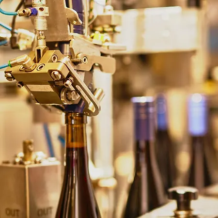 Ferienweingut-liebfried Casa de hóspedes 4*