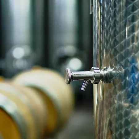 Ferienweingut-liebfried Konukevi Nehren (Rhineland-Palatinate)