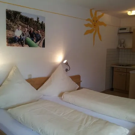 Ferienweingut-liebfried Pensión 4*