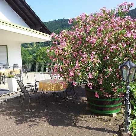 Ferienweingut-liebfried Nehren (Rhineland-Palatinate)