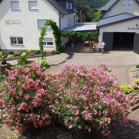 Pensionat Ferienweingut-liebfried 4*