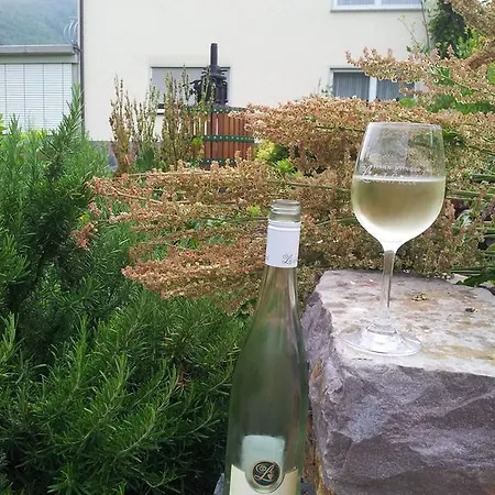 Pensión Ferienweingut-liebfried 4*