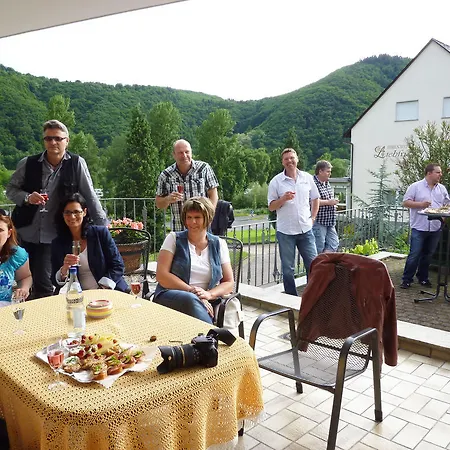 Gæstehus Ferienweingut-liebfried Nehren (Rhineland-Palatinate)