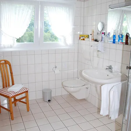 Pensionat Ferienweingut-liebfried Nehren (Rhineland-Palatinate)