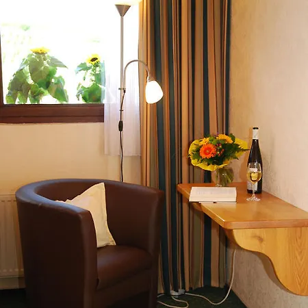 Pensionat Ferienweingut-liebfried Nehren (Rhineland-Palatinate)