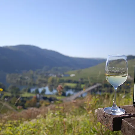 Ferienweingut-liebfried