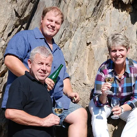 Ferienweingut-liebfried Gæstehus