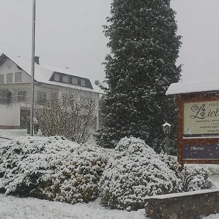 Pensionat Ferienweingut-liebfried Nehren (Rhineland-Palatinate)