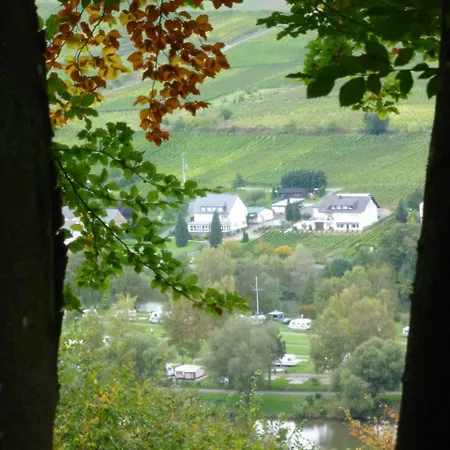 Ferienweingut-liebfried 4* Nehren (Rhineland-Palatinate)