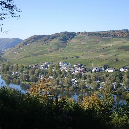 Ferienweingut-liebfried Konukevi 4*