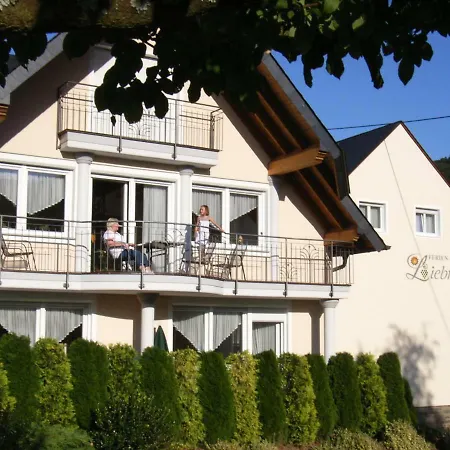 Pensión Ferienweingut-liebfried Nehren (Rhineland-Palatinate)