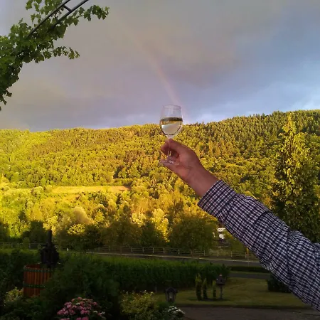 Ferienweingut-liebfried Pensión