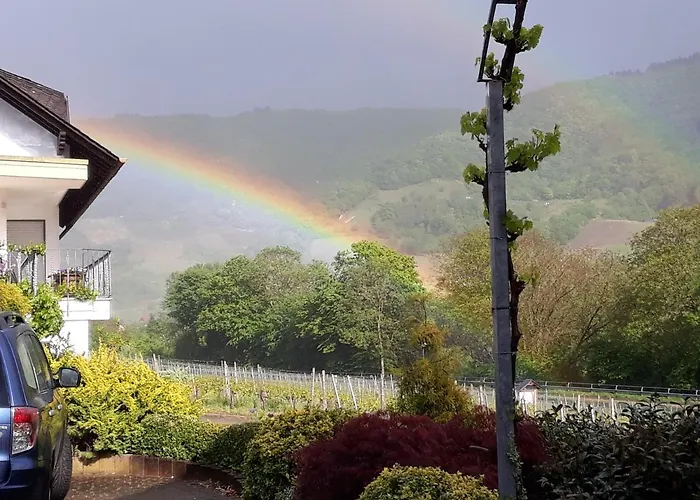 Ferienweingut-liebfried Casa de hóspedes 4*