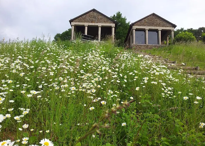 Ferienweingut-liebfried Nehren (Rhineland-Palatinate)