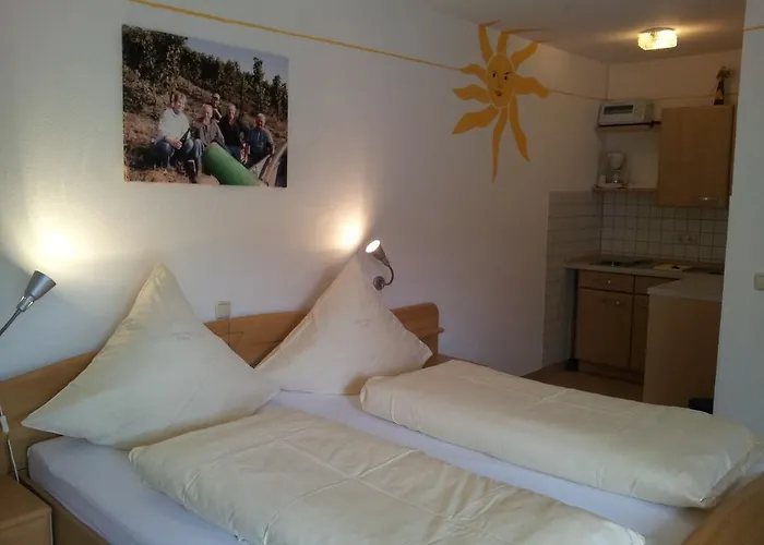 Ferienweingut-liebfried Casa de hóspedes 4*