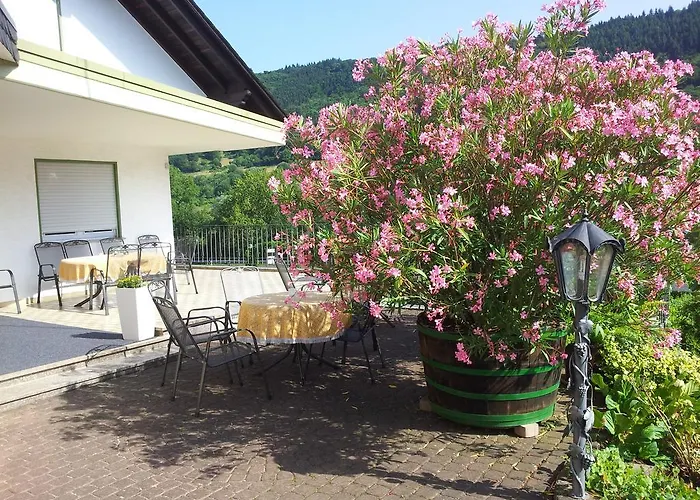 Ferienweingut-liebfried Nehren (Rhineland-Palatinate)