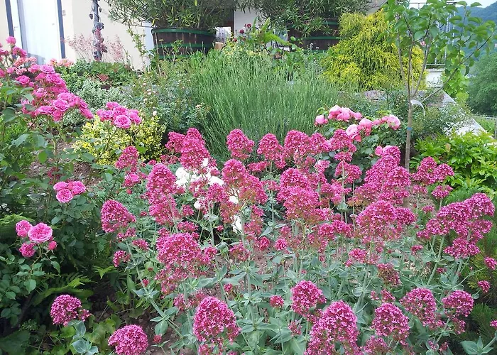 Ferienweingut-liebfried Casa de hóspedes Nehren (Rhineland-Palatinate)