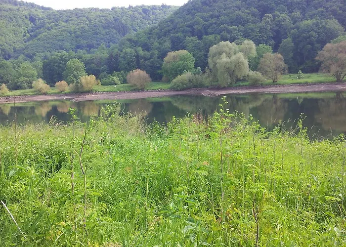 Casa de hóspedes Ferienweingut-liebfried