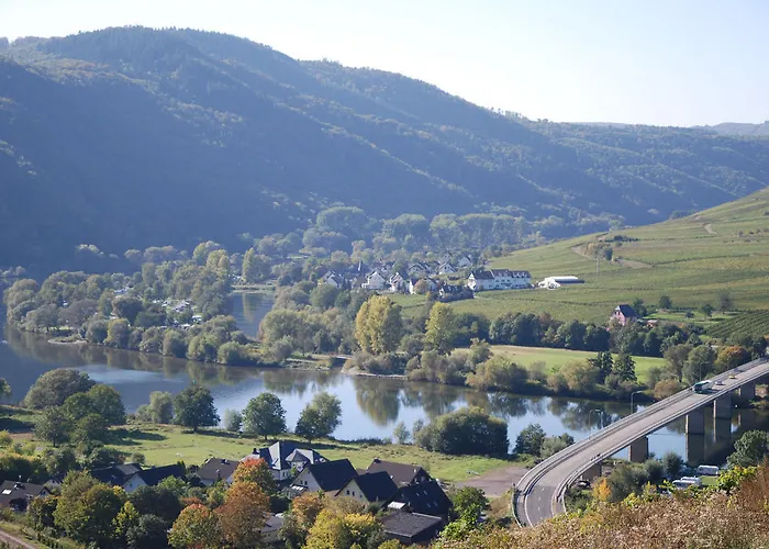 Casa de hóspedes Ferienweingut-liebfried 4*