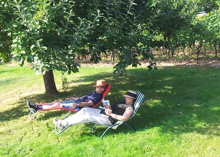 Ferienweingut-liebfried 4* Nehren (Rhineland-Palatinate)