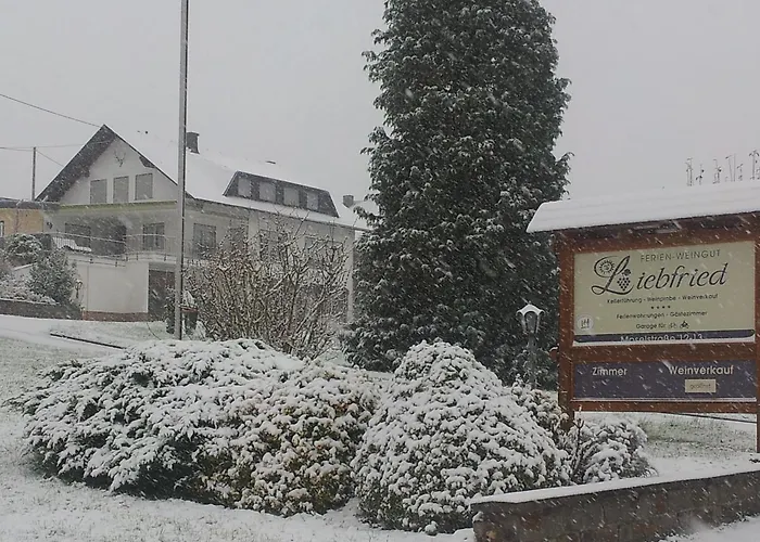 Casa de hóspedes Ferienweingut-liebfried Nehren (Rhineland-Palatinate)