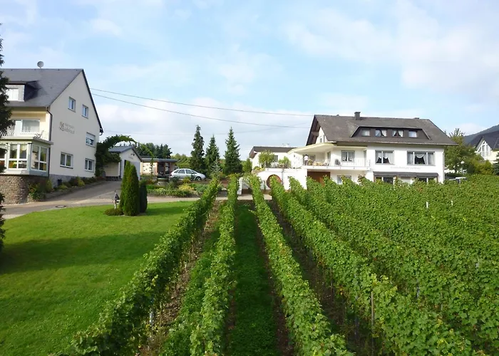Ferienweingut-liebfried Casa de hóspedes Nehren (Rhineland-Palatinate)