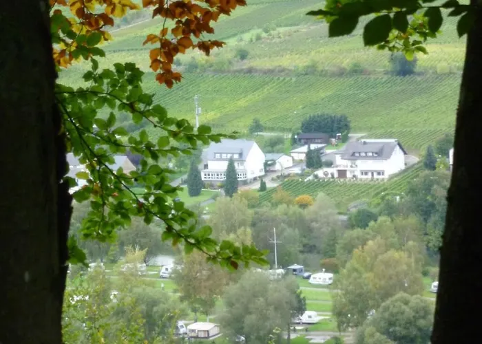 Ferienweingut-liebfried 4* Nehren (Rhineland-Palatinate)