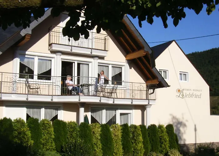 Casa de hóspedes Ferienweingut-liebfried Nehren (Rhineland-Palatinate)